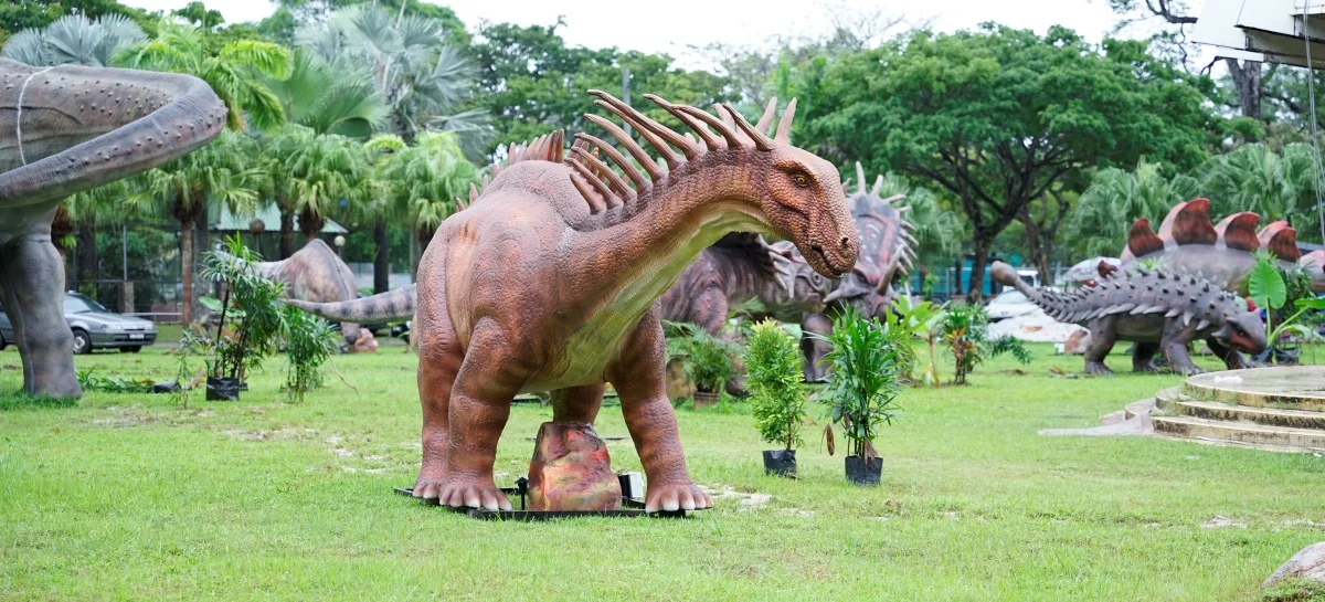 zoo-hibrid-4